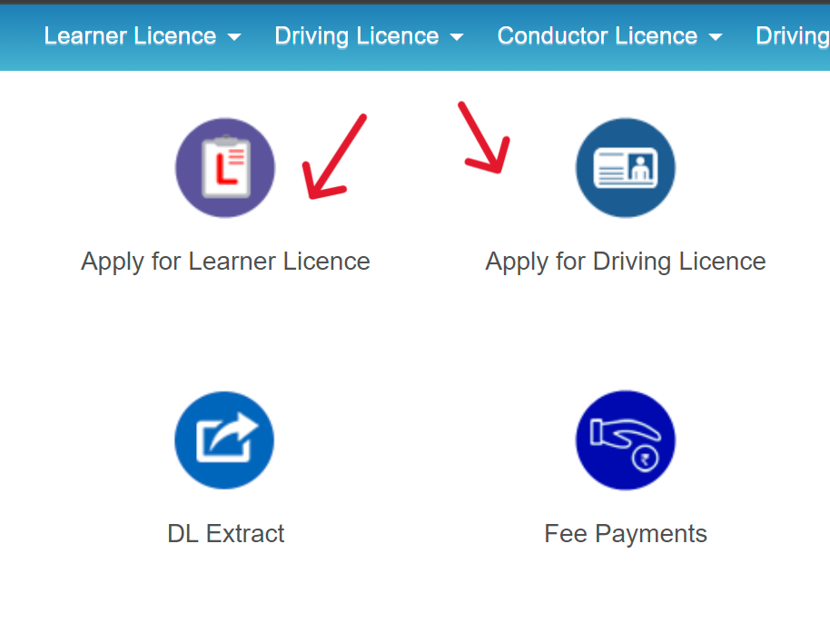 Driving Licence Application